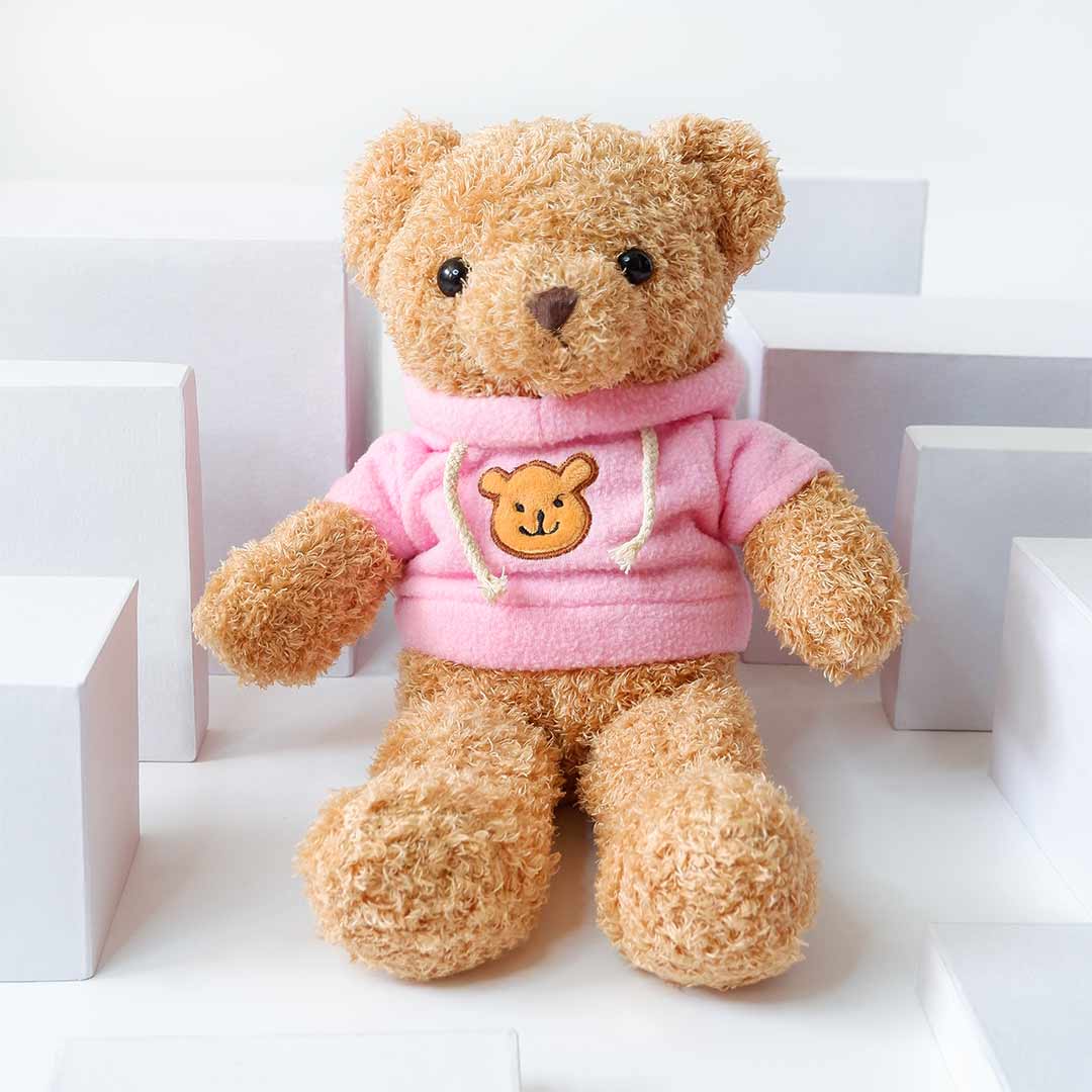 Top 5 Valentine's Gifts: Pink Hoodie Teddy